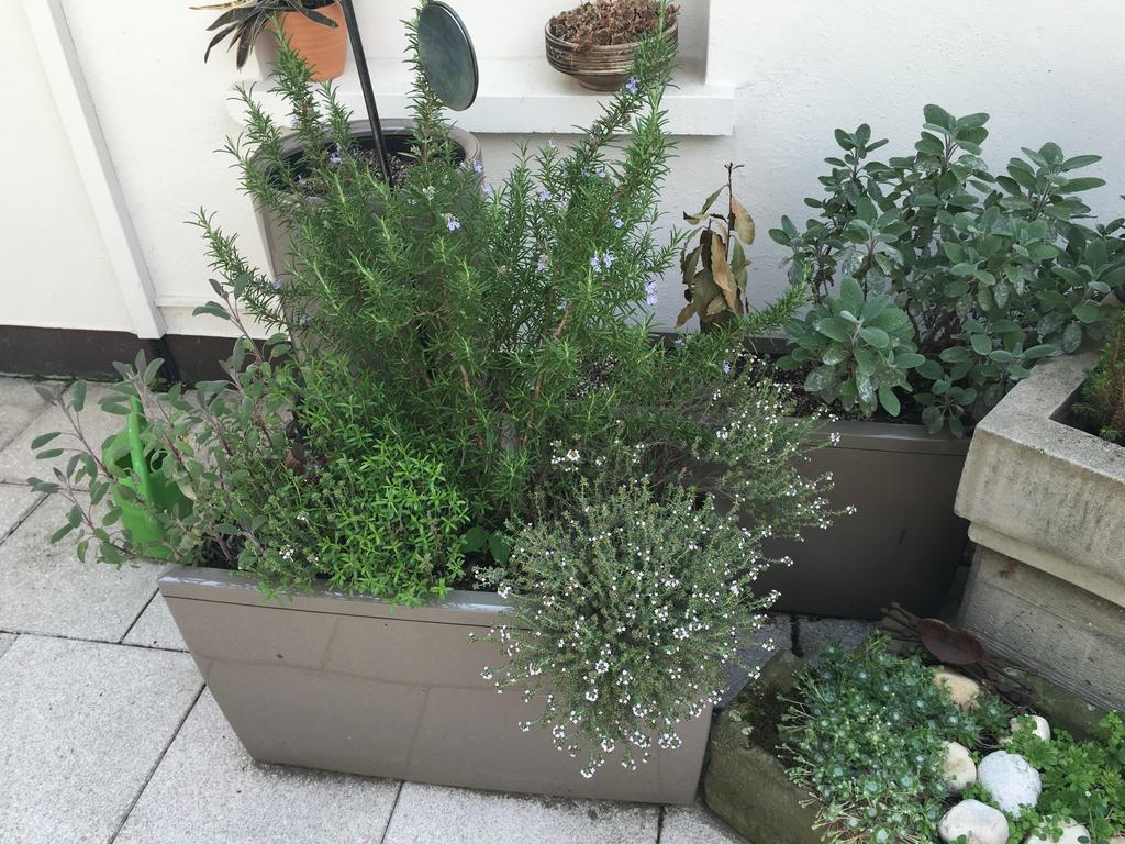 Bed & Breakfast Mangolds Boutique & Fruehstuecksmeisterei Schweinfurt